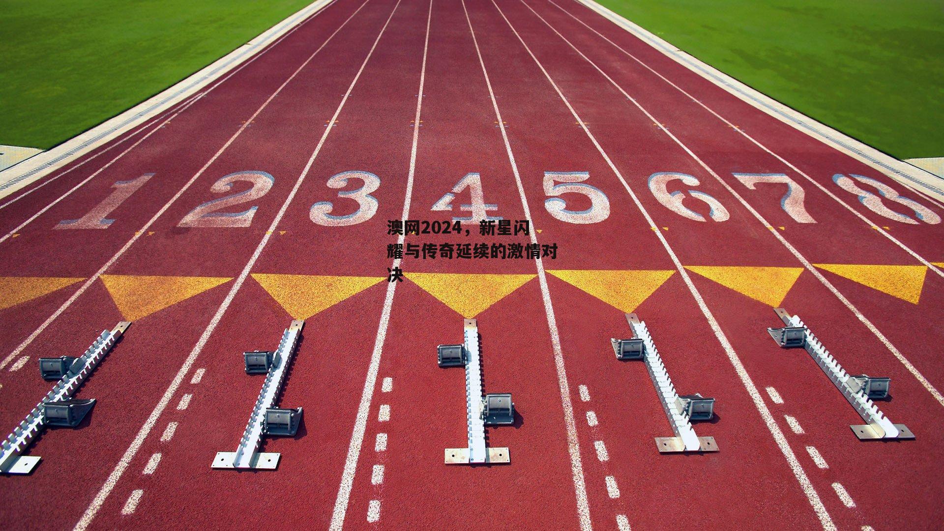 pg模拟器-澳网2024,新星闪耀与传奇延续的激情对决